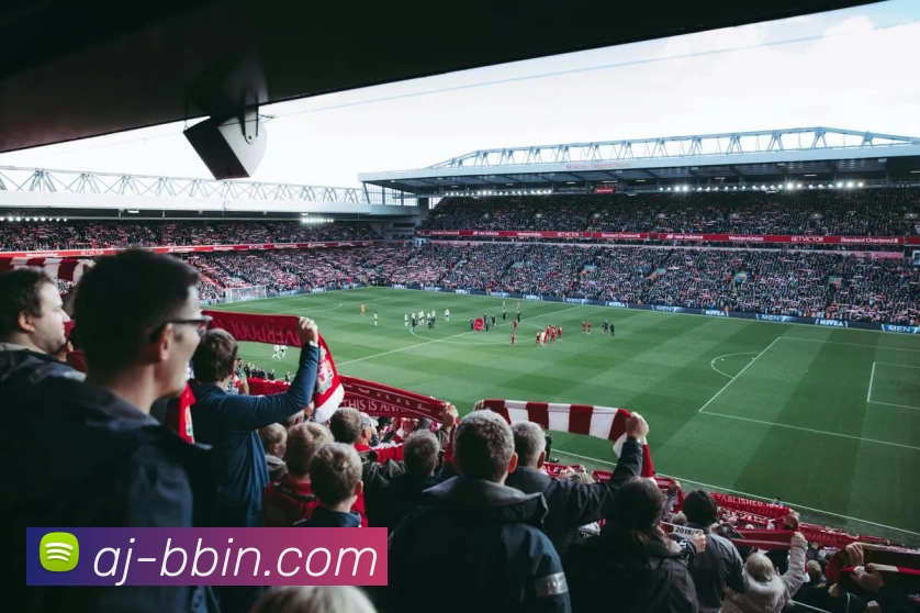 App Interface Preview