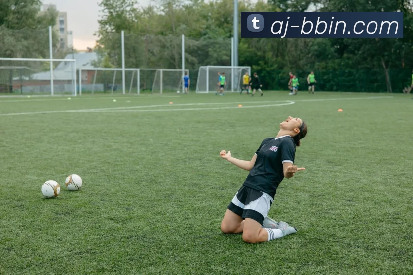 bbin体育平台APP 封面图